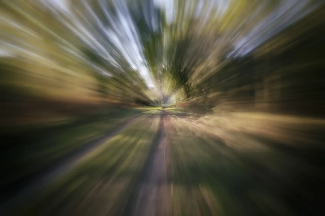 Photo abstraite en couleur d'un sous-bois. Utilisation de la technique du zooming. Photographie d'art en couleur par Amar Guillen, artiste photographe.