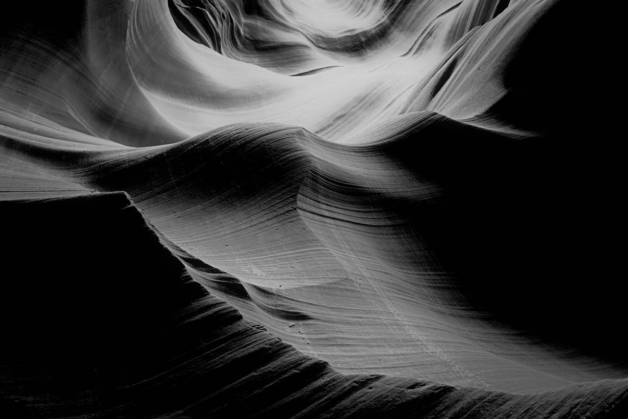 Cerf en bois de velours en noir et blanc. Photographie par Amar Guillen, artiste photographe.