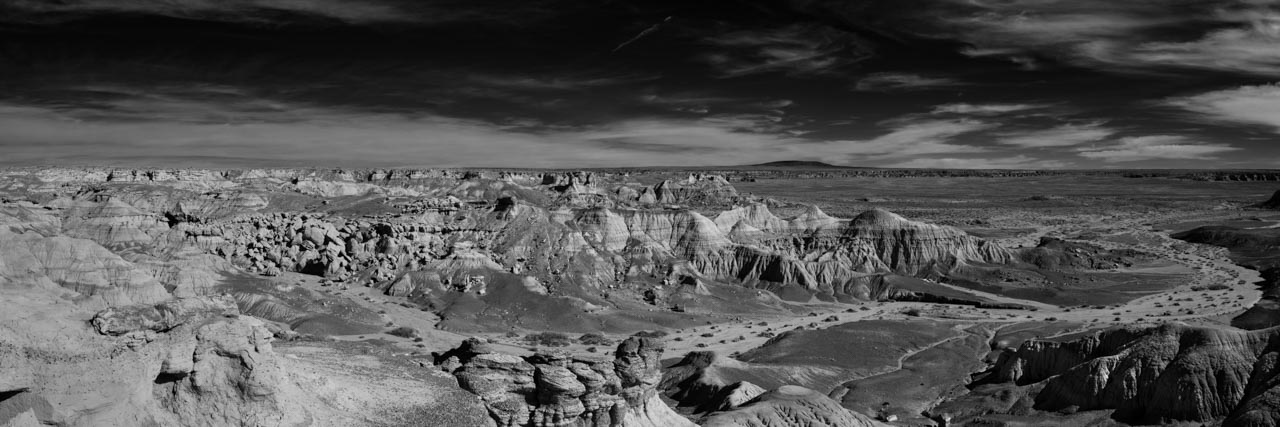 Paysage de la Vallée Pétrifiée dans l'Arizona en noir et blanc. Photographie par Amar Guillen, artiste photographe.