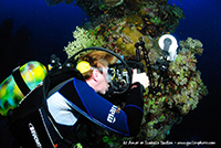 Stage de photo sous-marine en Mer Rouge organisé par Amar et Isabelle Guillen.