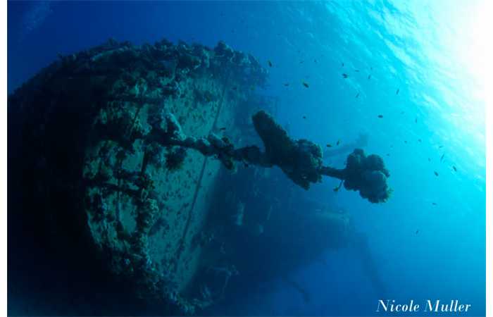 marsa_shragra-37 marsa_shragra-37