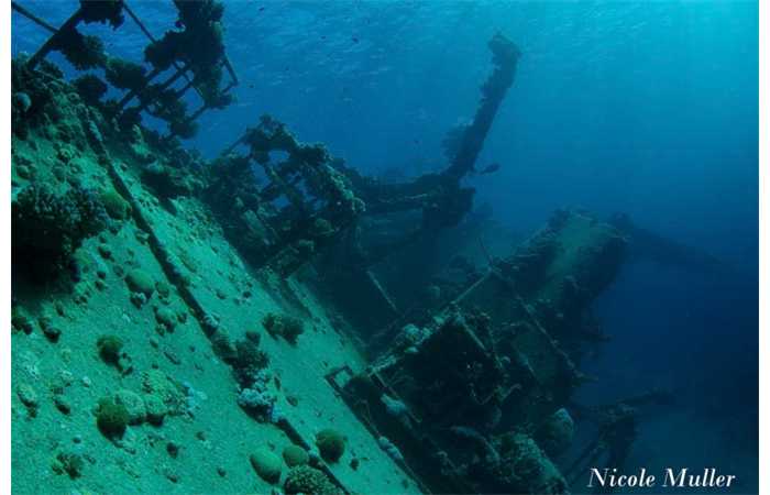 marsa_shragra-55 marsa_shragra-55