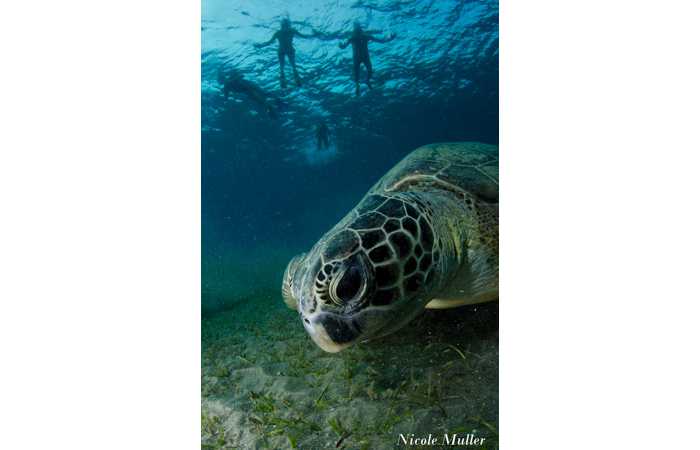 marsa_shragra-62 marsa_shragra-62