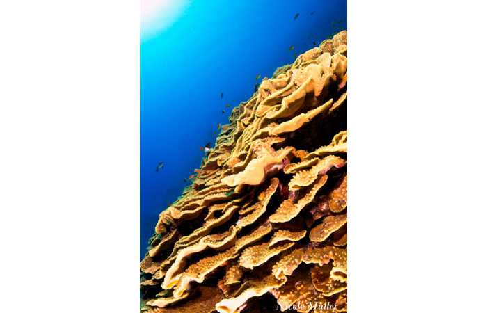 marsa_shragra-64 marsa_shragra-64