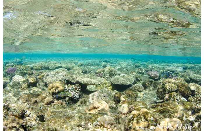 marsa_shragra-79 marsa_shragra-79