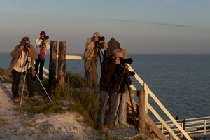 Les participants au stage pendant un coucher de soleil sur l'estuaire de la Gironde.