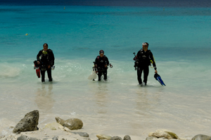 Les plongées s'effectuent depuis le bord des plages.