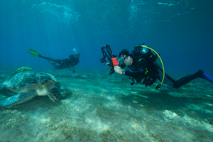 Stéphane réalisant la photo d'une tortue à Marsa Abu Dabbab.
