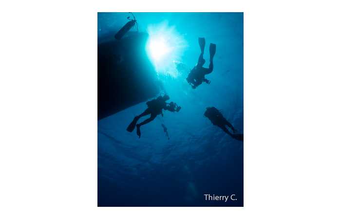 thierry-15 thierry-15