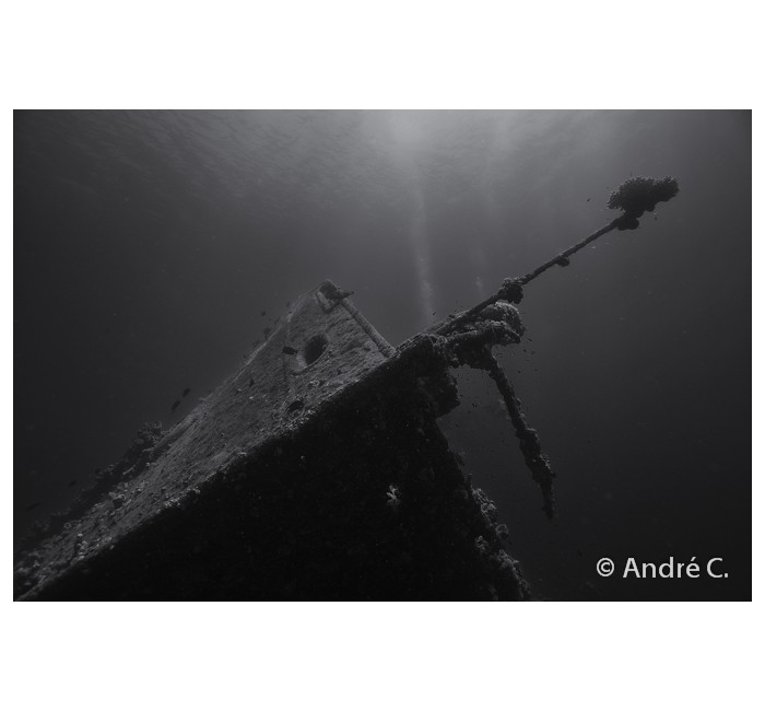 01-andreC-8 01-andreC-8