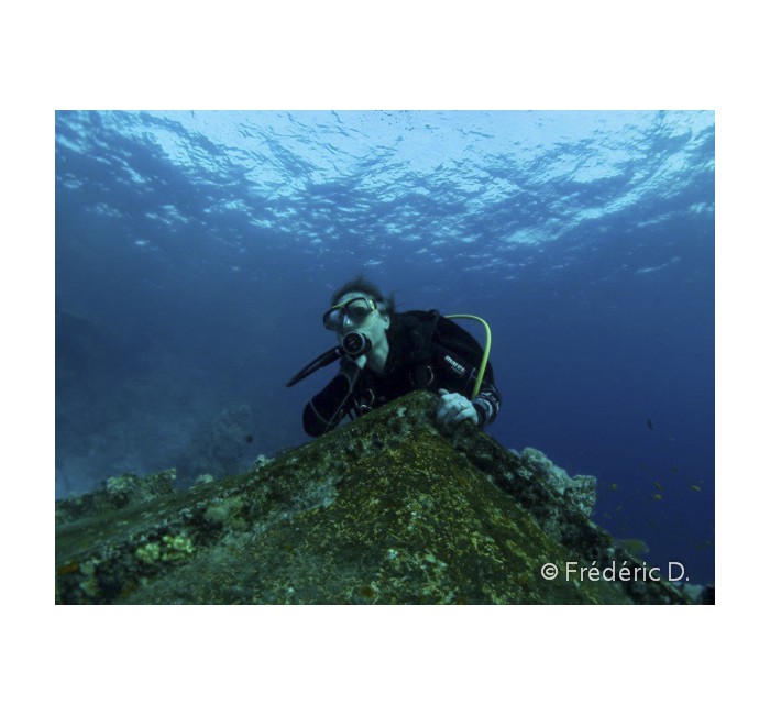 fredD-5 fredD-5