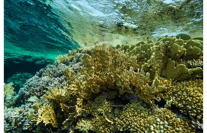 001-_DSC0658 001-_DSC0658