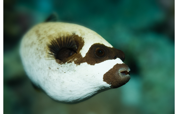 016-_DSC0878 016-_DSC0878