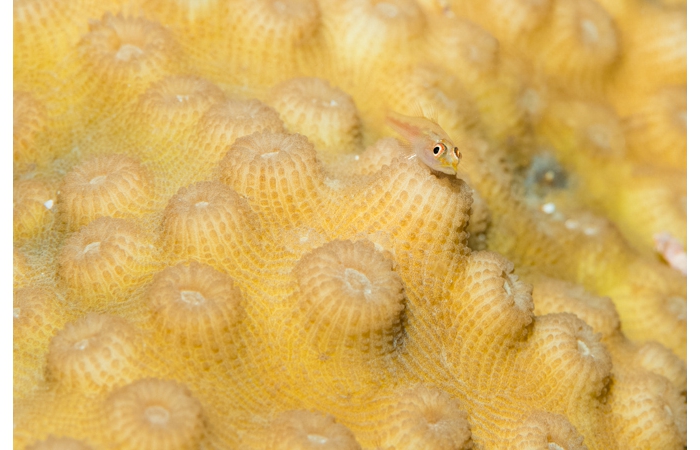 027-_DSC1114 027-_DSC1114