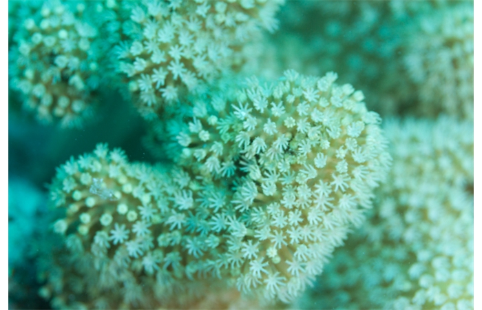 21-IMG_0034 21-IMG_0034