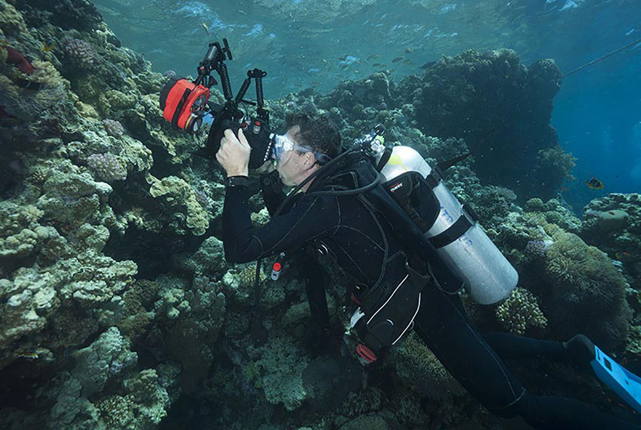 Stage de photo sous-marine en cours particulier à Safaga en Egypte.