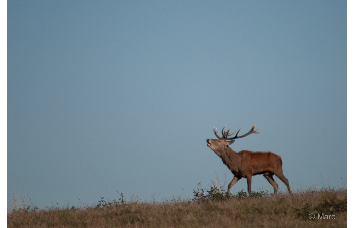 24-_DSC0145 24-_DSC0145
