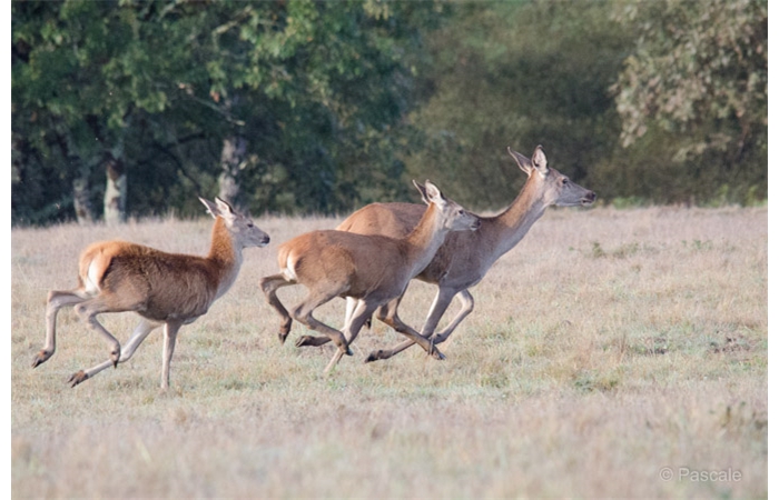 41-DSC_3574 41-DSC_3574