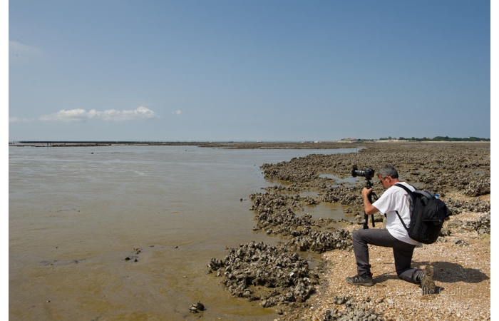 stage-photo-paysage-charente-maritime-amar-guillen-10 stage-photo-paysage-charente-maritime-amar-guillen-10