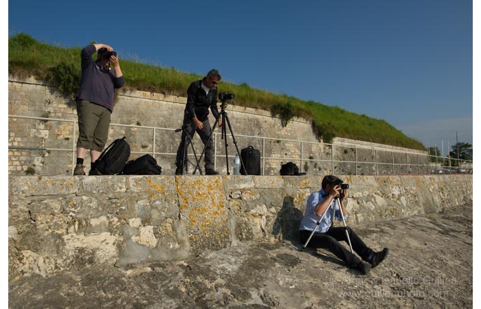 stage-photo-paysage-charente-maritime-amar-guillen-3 stage-photo-paysage-charente-maritime-amar-guillen-3