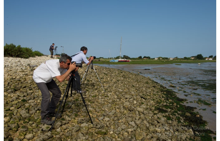 stage-photo-paysage-charente-maritime-amar-guillen-6 stage-photo-paysage-charente-maritime-amar-guillen-6