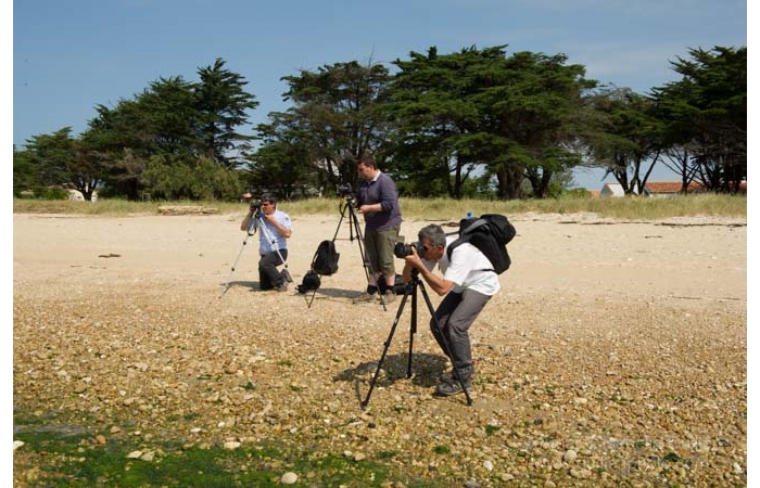 stage-photo-paysage-charente-maritime-amar-guillen-7 stage-photo-paysage-charente-maritime-amar-guillen-7