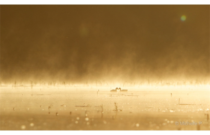 Photo taken from a floating blind during a wildlife photo workshop