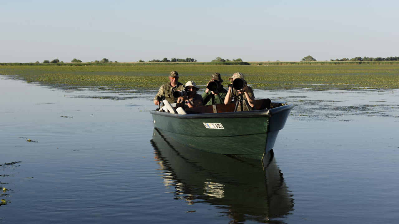 Un groupe de stagiaires prenant des photos depuis une barque pendant un stage dans le delta du Danube en Roumanie.