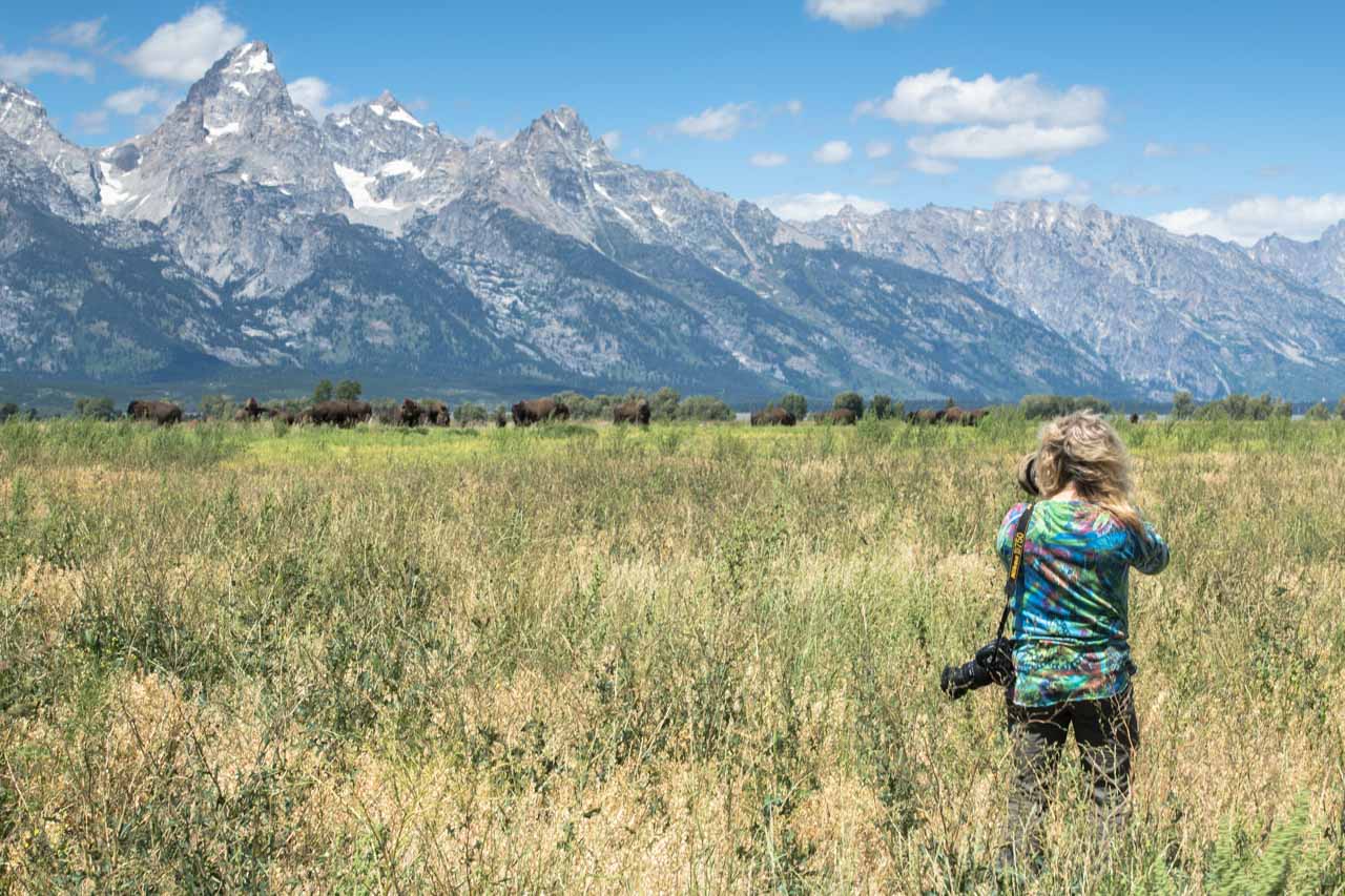 Sylvie, une stagiaire photographiant des bisons pendant un stage dans le Grand Teton dans le Wyoming aux Etats-Unis.