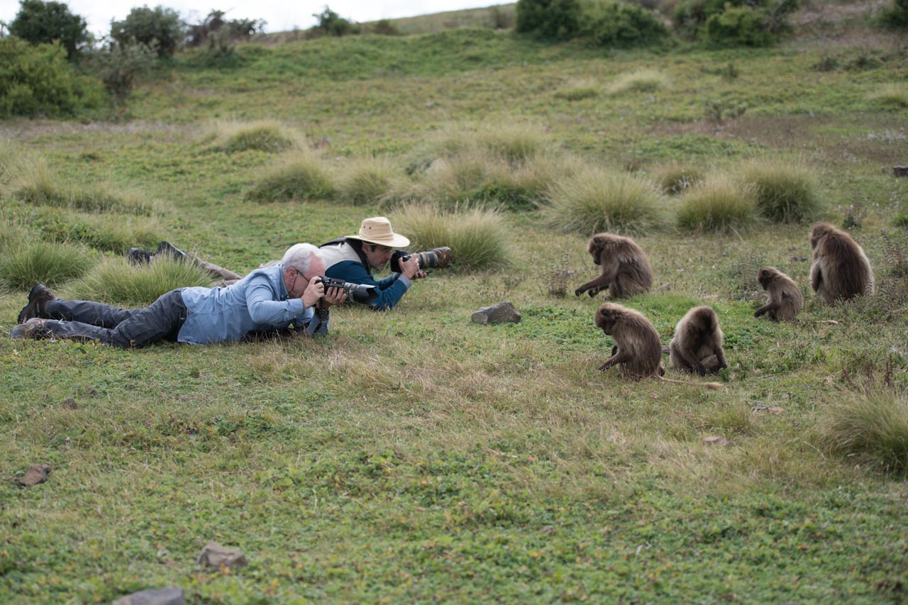 Deux stagiaires en train de photographier des geladas sur les hauts-plateaux de l'Ethiopie.