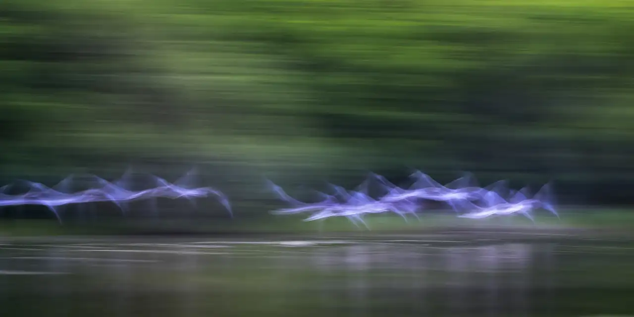 Rêves en mouvement →