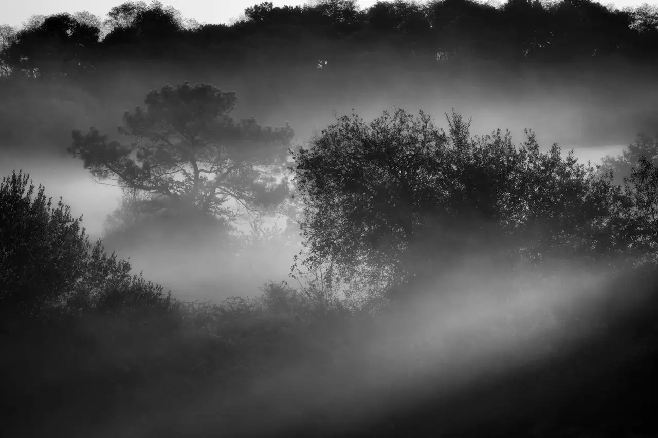 Paysage de la Haute-Saintonge en Charente-Maritime en France, en noir et blanc.