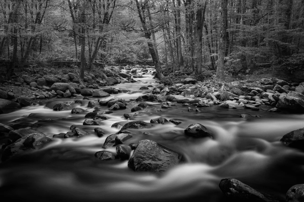 River flowing thru the woods of the Smoky Mountains National Park in Tennessee
