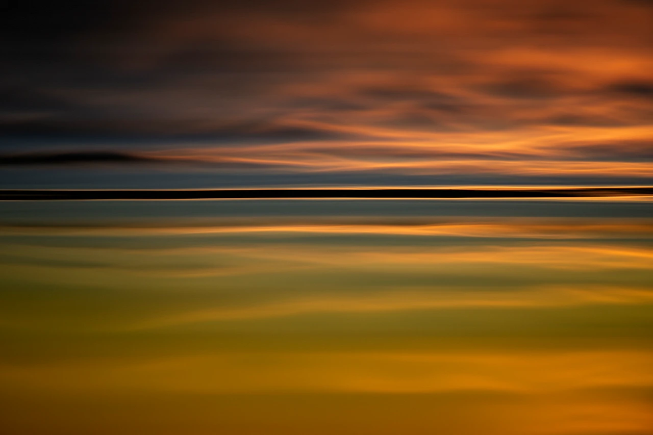 Reflections on a pond in La Dombes