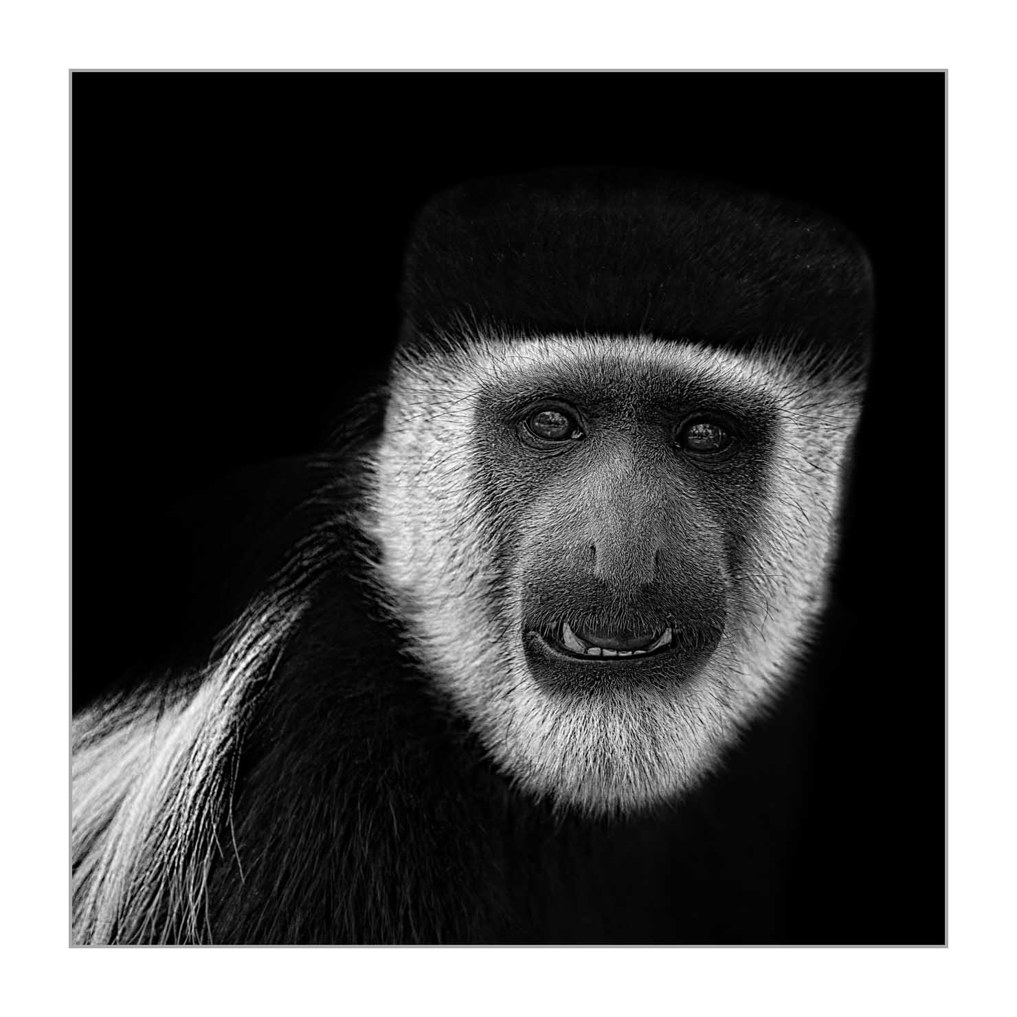 back-to-black/001-beautes-animalieres-ethiopie/fr/04-animaux-sauvages-ethiopie-back-to-black-160213ETHANI0791BTB