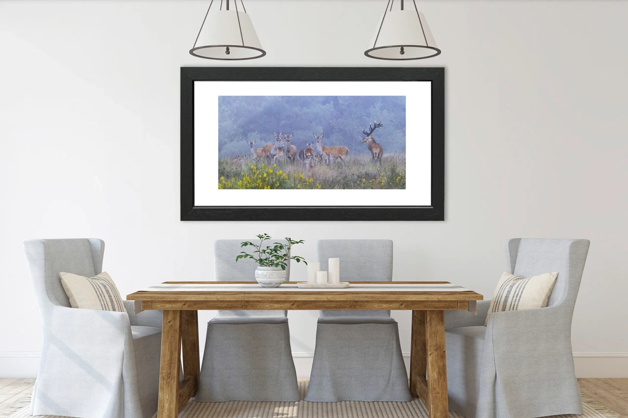 editions-limitees-sans-collection/1986/en/limited-edition-02-1986-21C