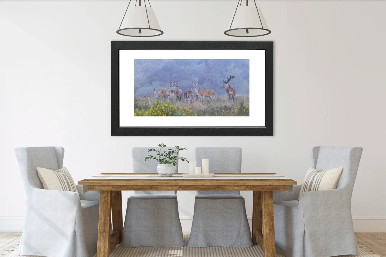 editions-limitees-sans-collection/1986/fr/edition-limitee-02-1986-21C