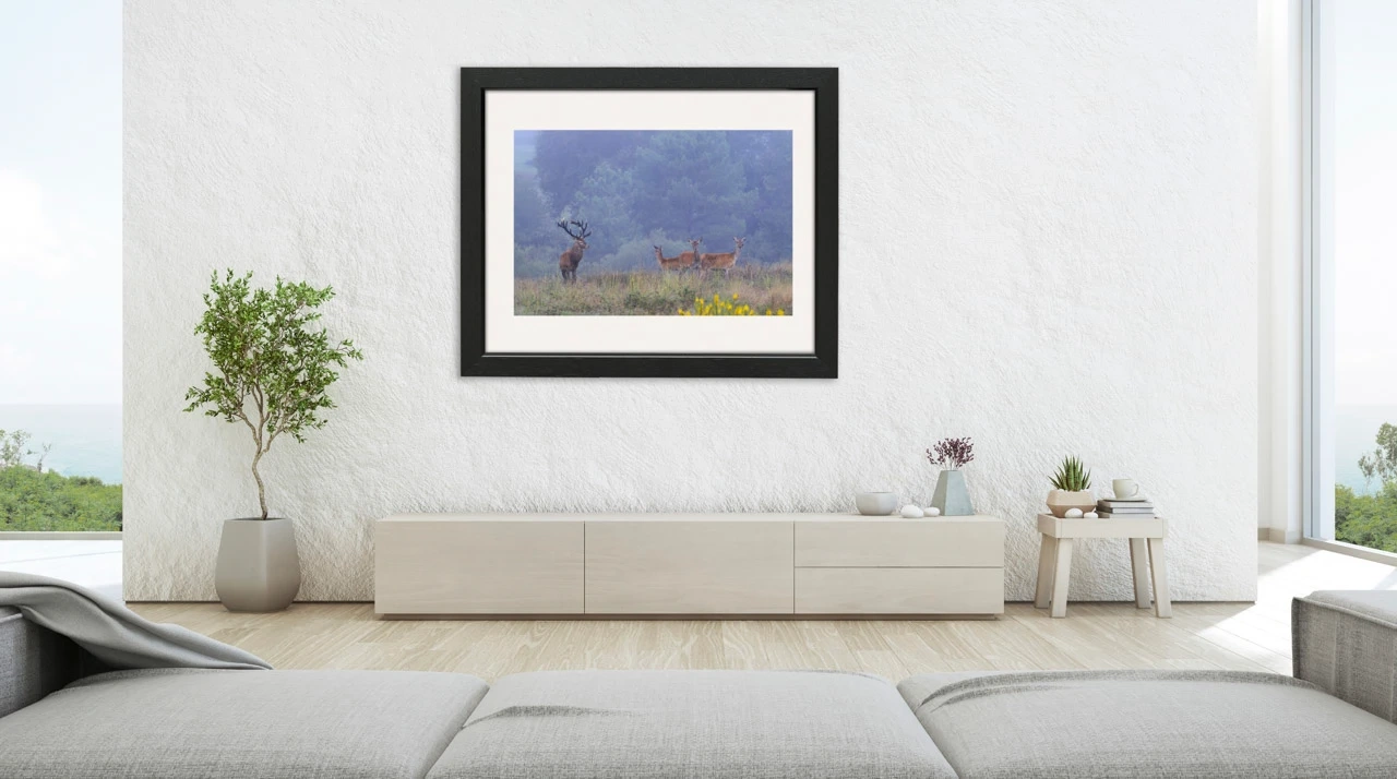 editions-limitees-sans-collection/1989/en/limited-edition-02-1989-32C