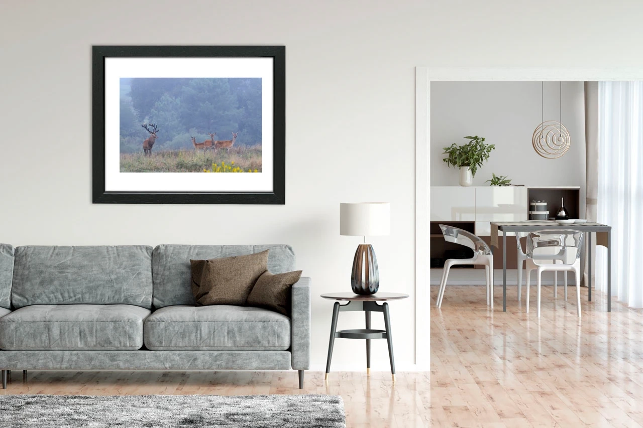 editions-limitees-sans-collection/1989/en/limited-edition-05-1989-32C