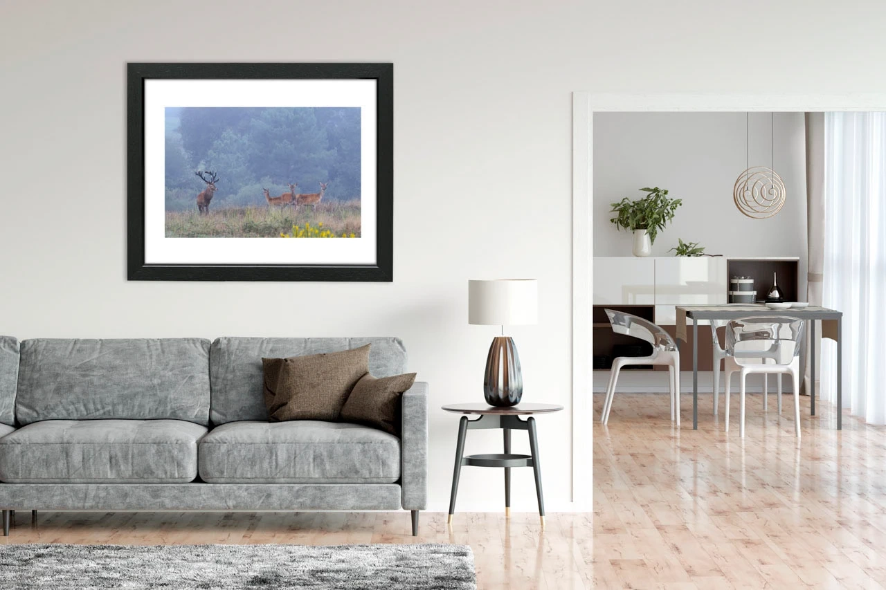 editions-limitees-sans-collection/1989/fr/edition-limitee-05-1989-32C