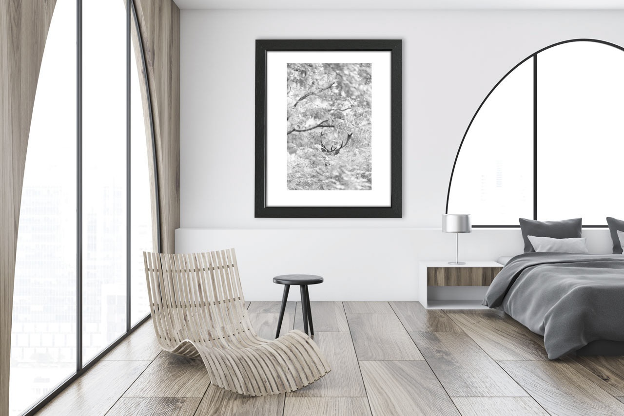 editions-limitees-sans-collection/1995/fr/edition-limitee-05-1995-32B