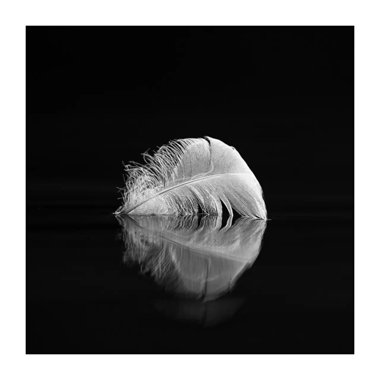 editions-limitees-sans-collection/2139/fr/edition-limitee-01-2139-11B