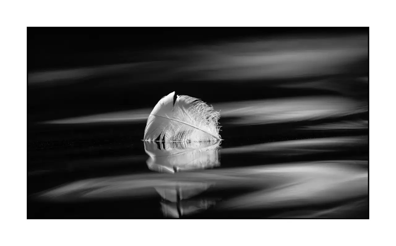 editions-limitees-sans-collection/2140/en/limited-edition-01-2140-169B