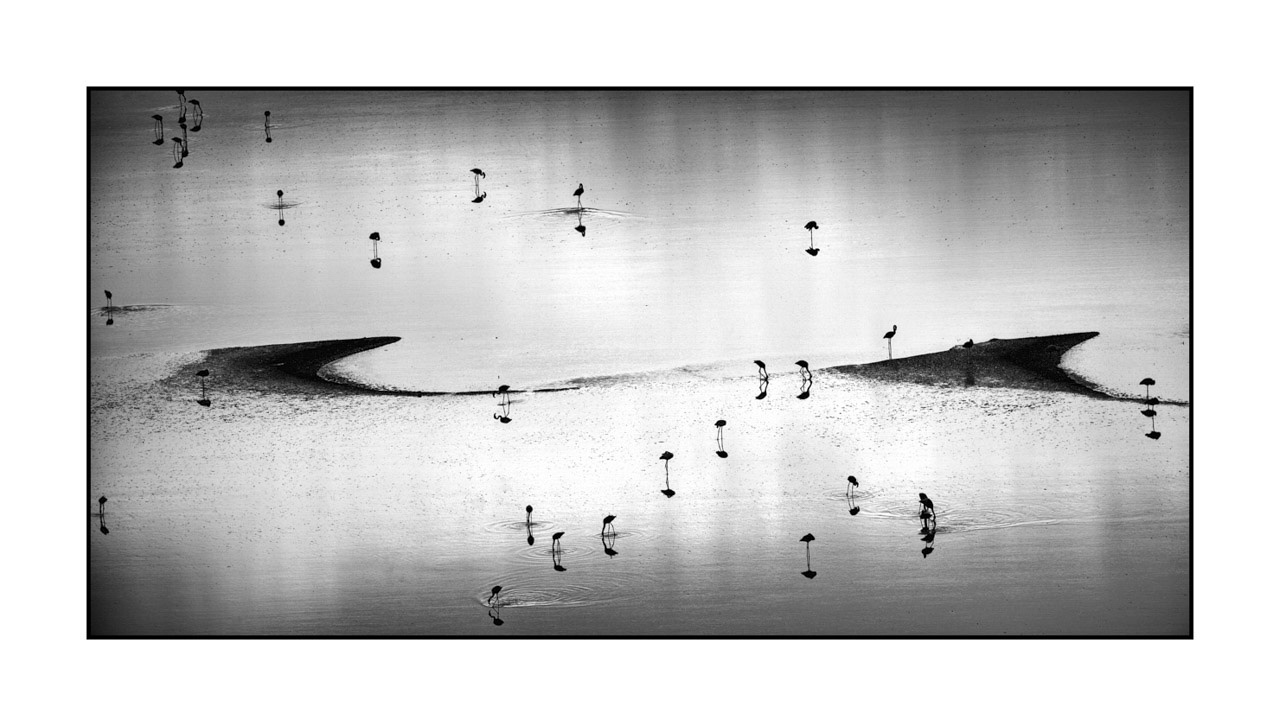 editions-uniques/photo017/fr/edition-unique-01-401-21B
