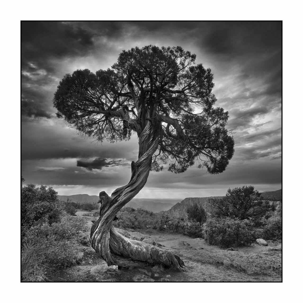editions-uniques/photo018/fr/edition-unique-01-1023-11B