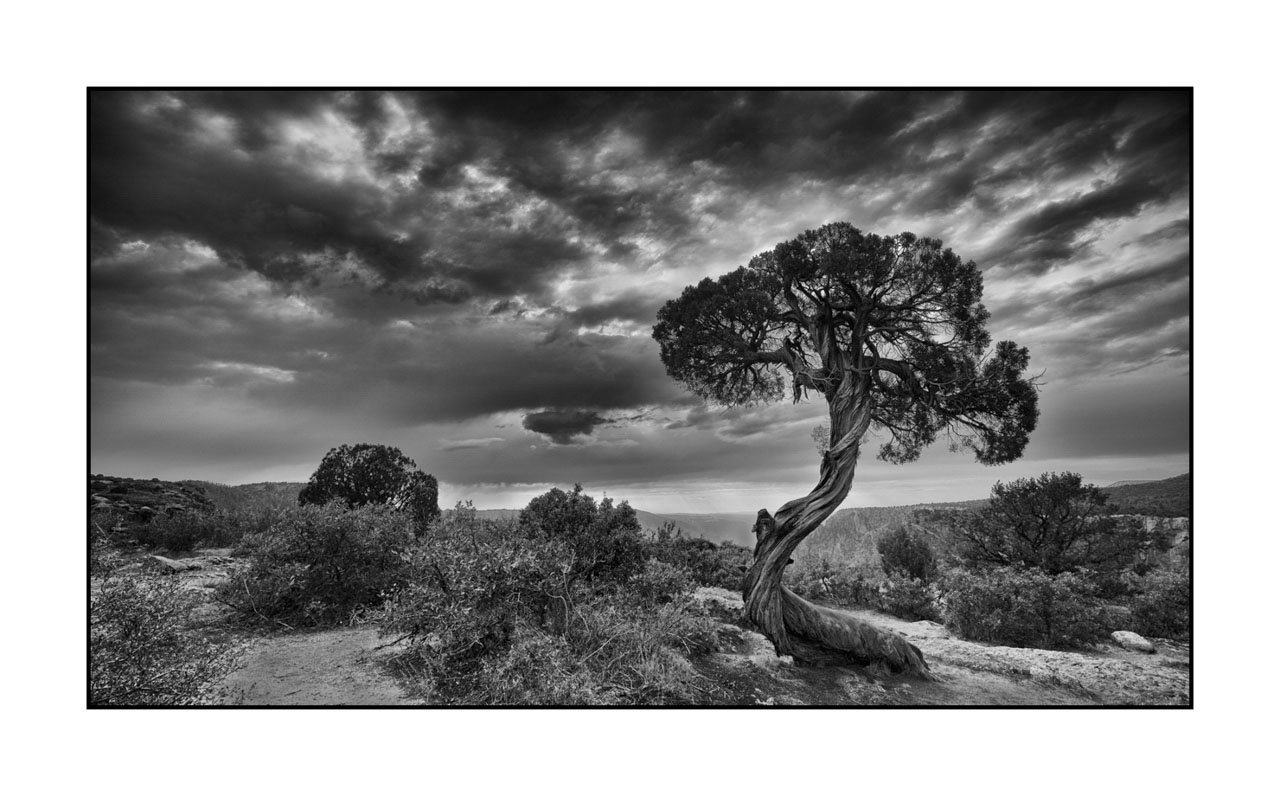 editions-uniques/photo019/fr/edition-unique-01-1018-169B