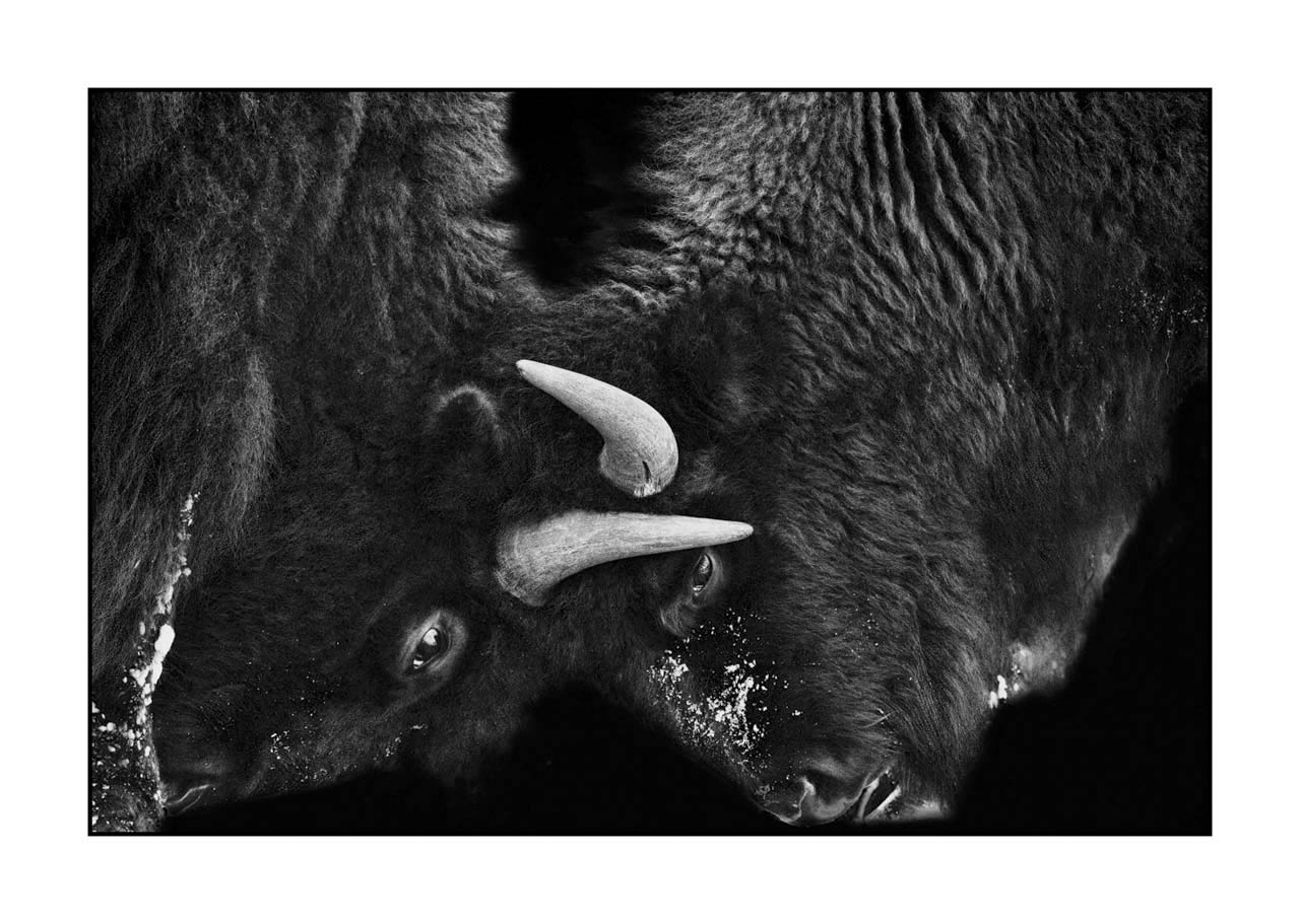 editions-uniques/photo032/fr/edition-unique-01-1322-32B