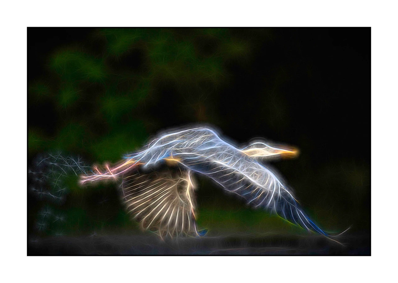 fusion/001-oiseaux-de-la-dombes/edition-limitee/en/11-bird-dombes-in-fusion-2463-32F