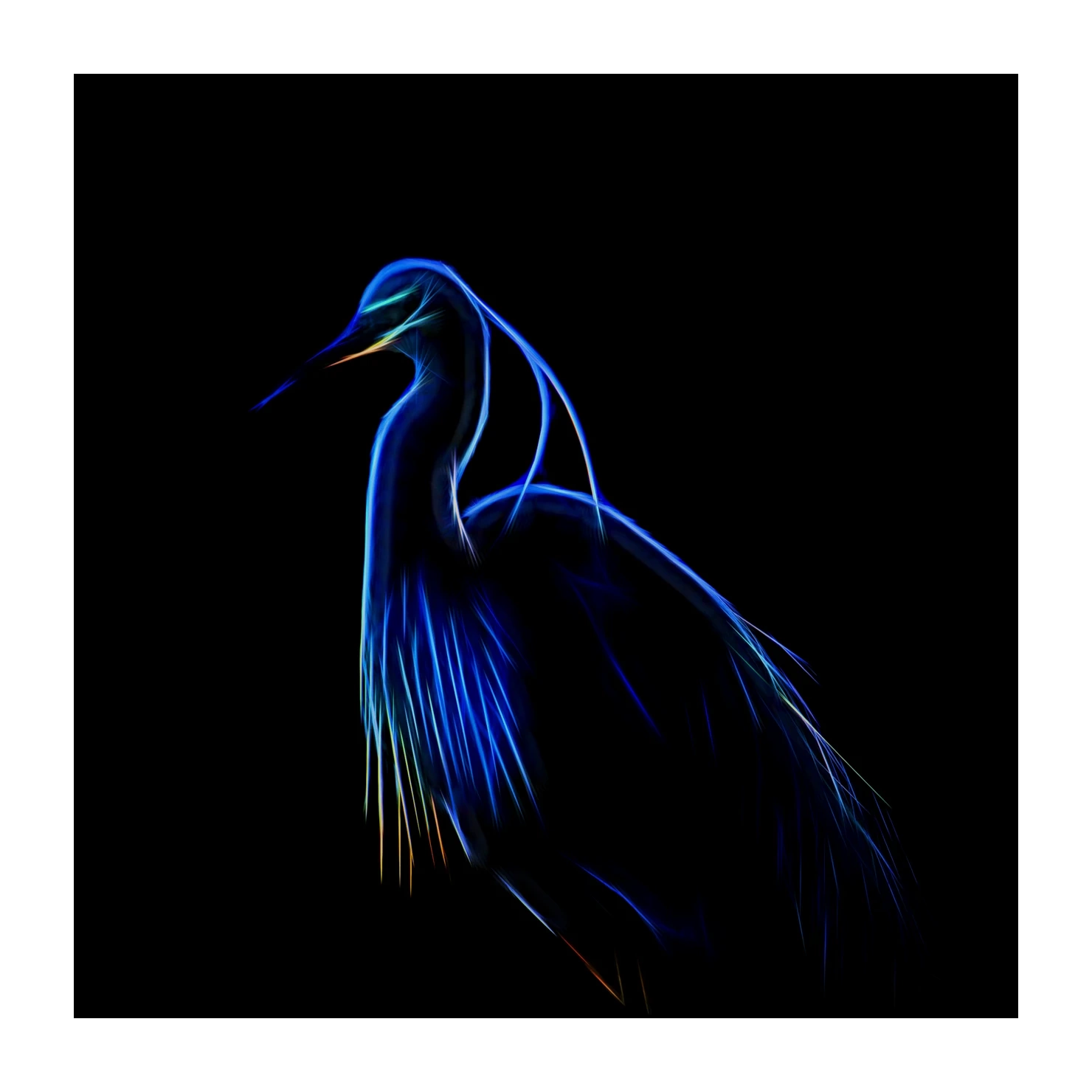 fusion/001-oiseaux-de-la-dombes/edition-limitee/fr/03-oiseaux-de-la-dombes-220517DOMWLD0007F