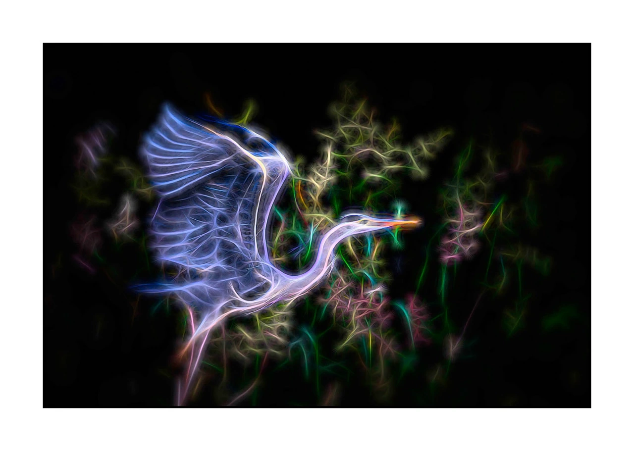 fusion/001-oiseaux-de-la-dombes/en/08-bird-dombes-in-fusion-2460-32F